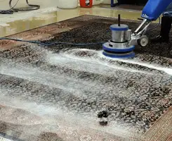 Professional rug cleaning with a rotary floor machine and shampoo foam, deep-cleaning an area rug, in {city}, {state}.